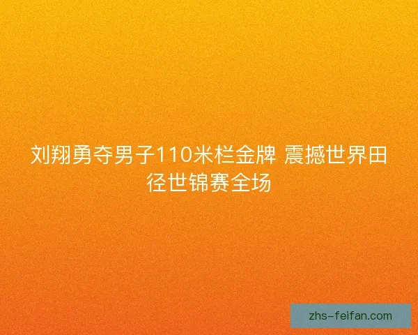 刘翔勇夺男子110米栏金牌 震撼世界田径世锦赛全场 刘翔勇夺男子110米栏金牌 震撼世界田径世锦赛全场